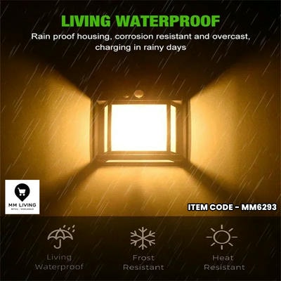 MM Living Image Four